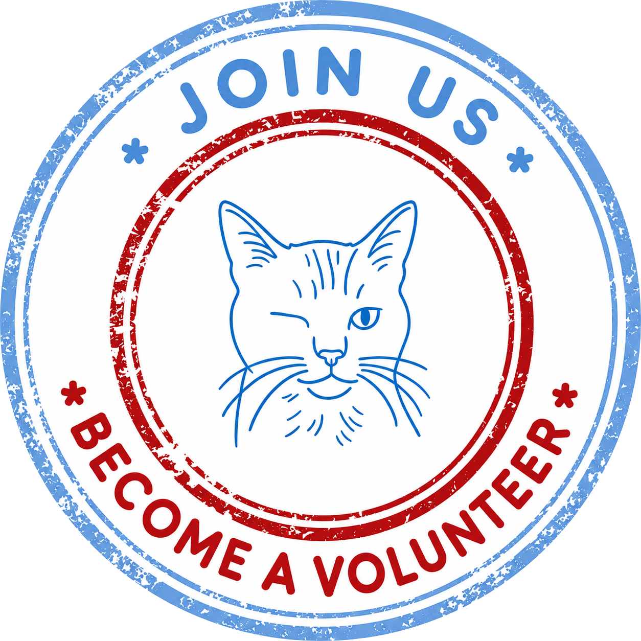 Dingli Stray Cats – stray and feral cat welfare in Malta
